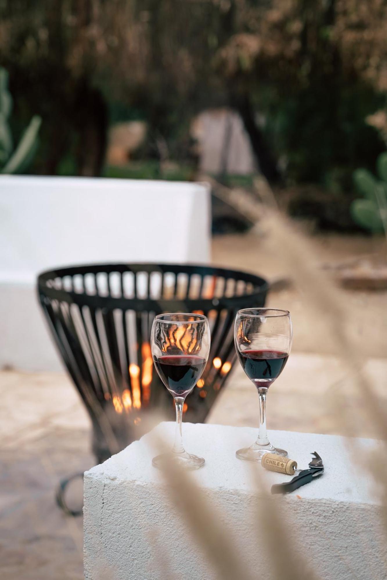 Aldea Del Valle - Elqui Villas, Писко Елки Екстериор снимка