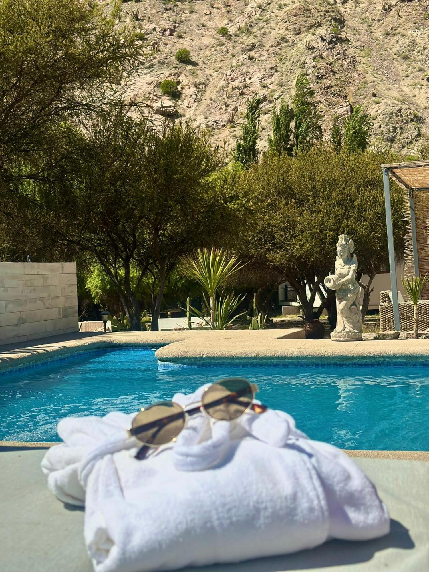 Aldea Del Valle - Elqui Villas, Писко Елки Екстериор снимка