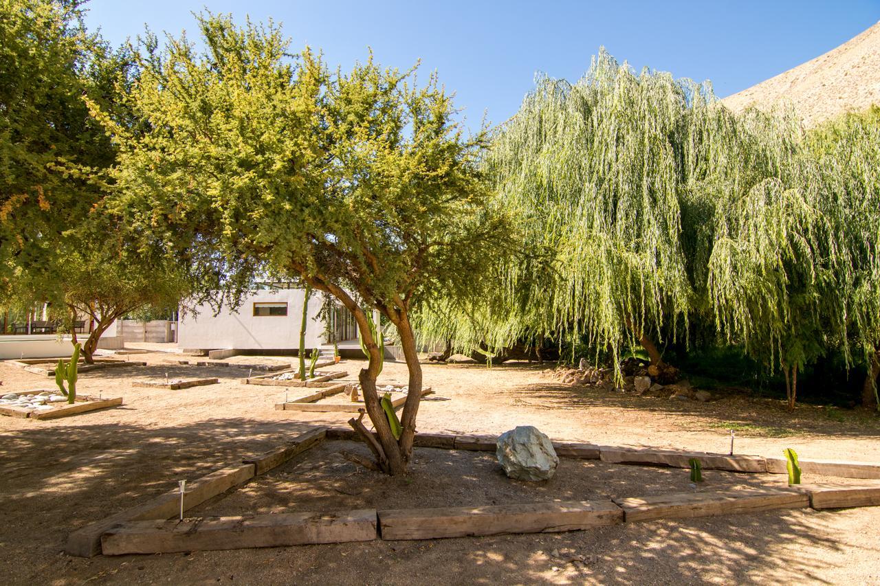Aldea Del Valle - Elqui Villas, Писко Елки Екстериор снимка