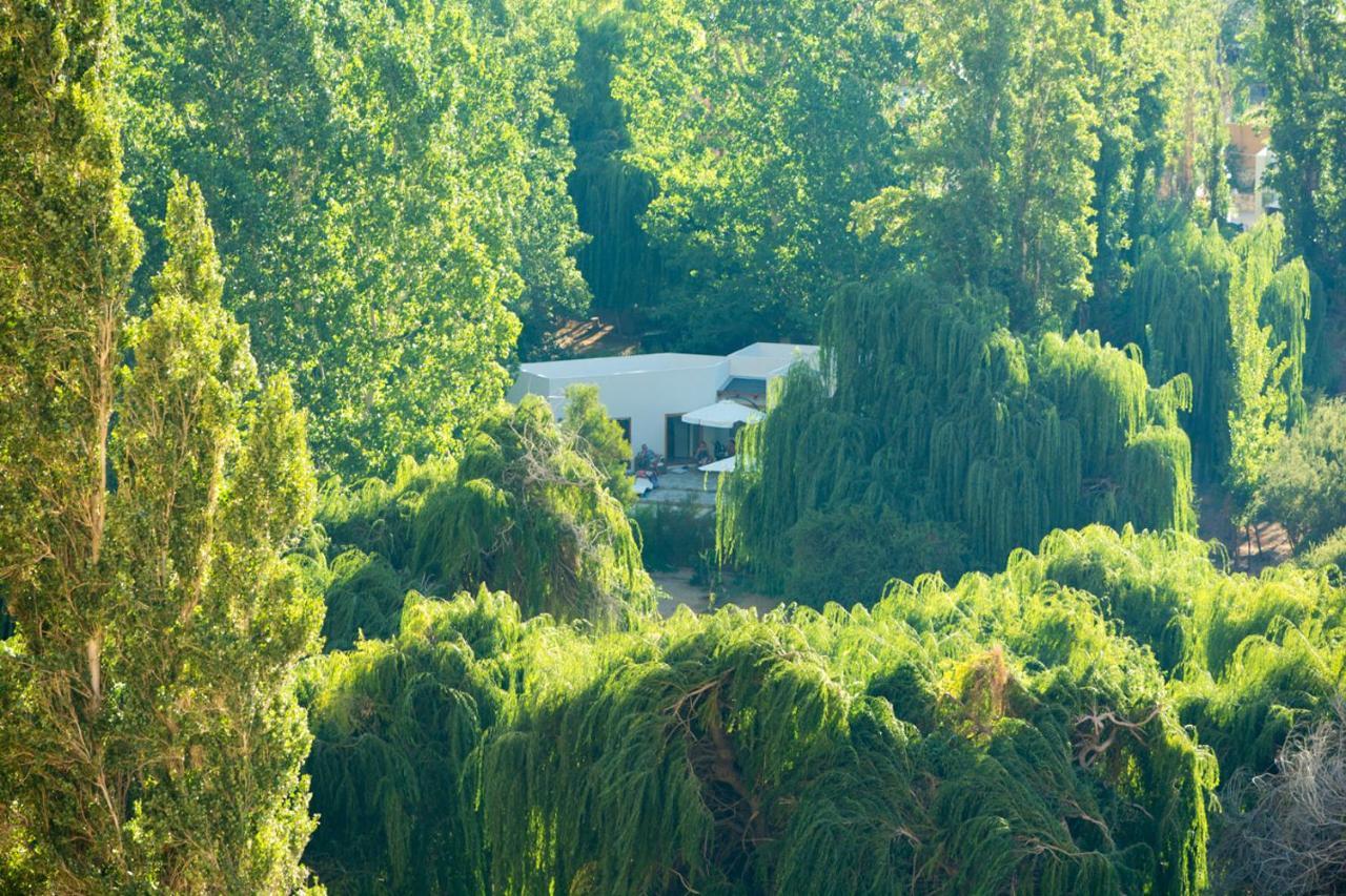 Aldea Del Valle - Elqui Villas, Писко Елки Екстериор снимка