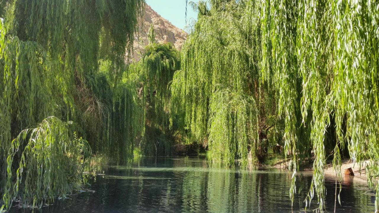 Aldea Del Valle - Elqui Villas, Писко Елки Екстериор снимка
